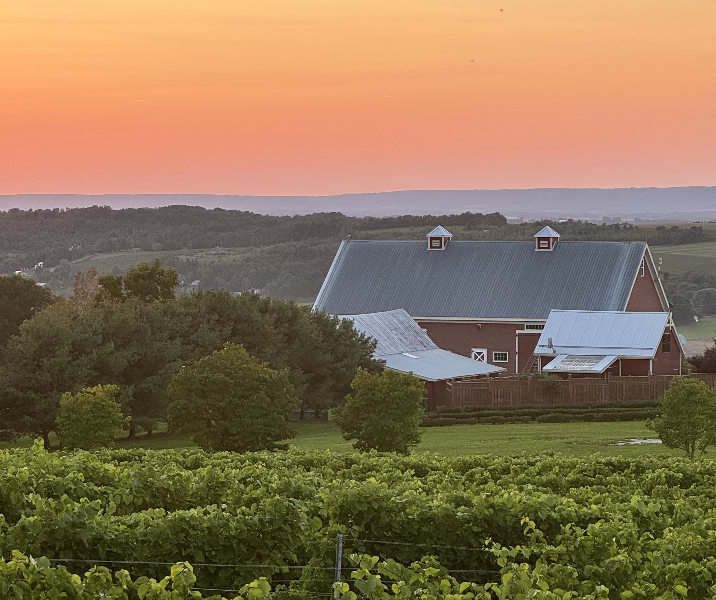 Nova Scotia: Canadas oprindelige vinregion