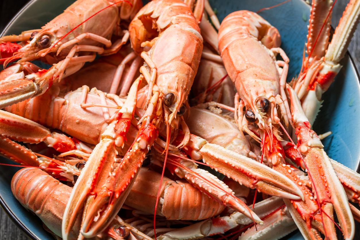 Vin til jomfruhummer