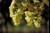 Lær alt om riesling (februar)