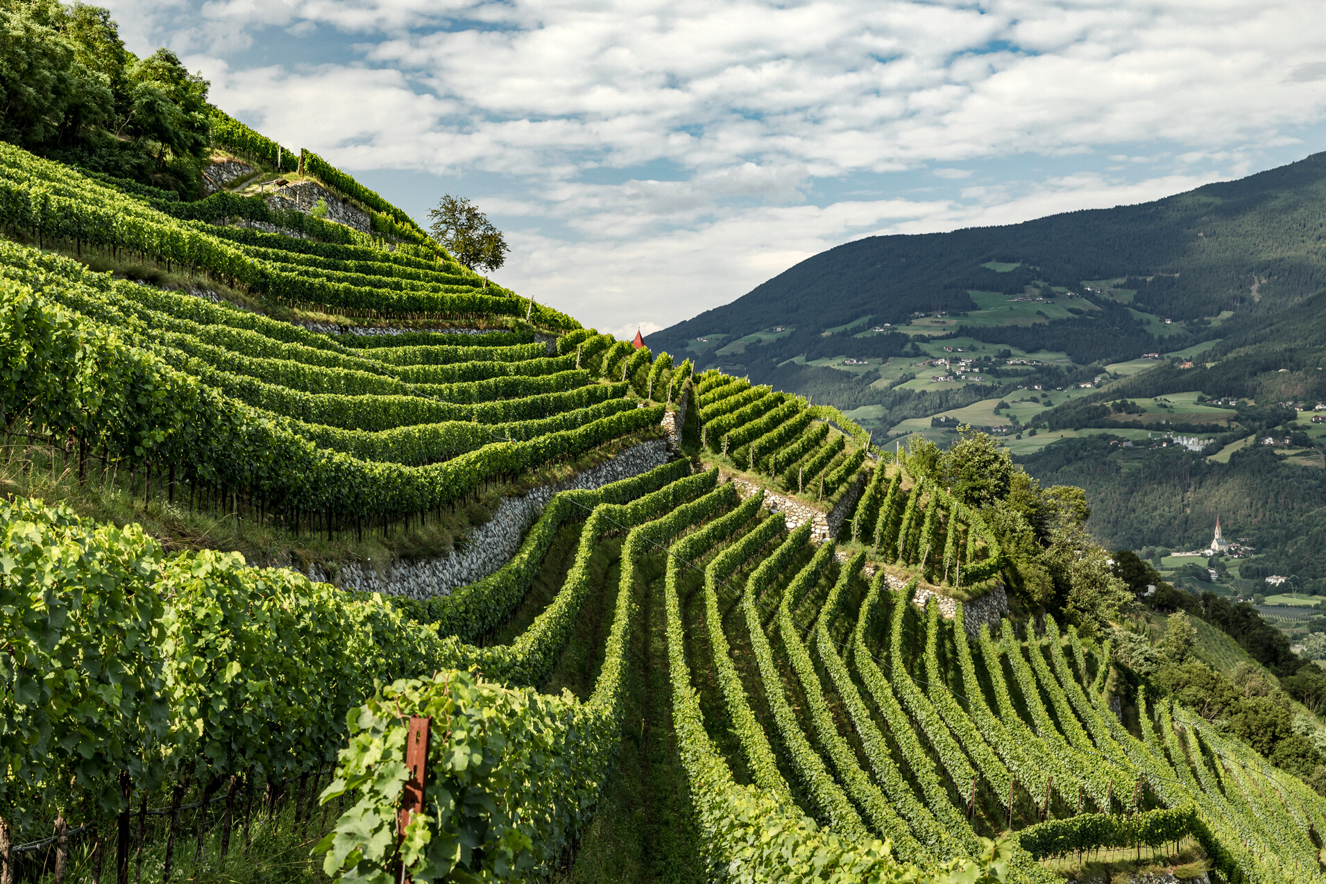 Ny podcast om Alto Adige