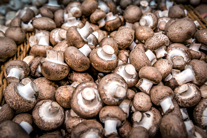 Vin til champignon