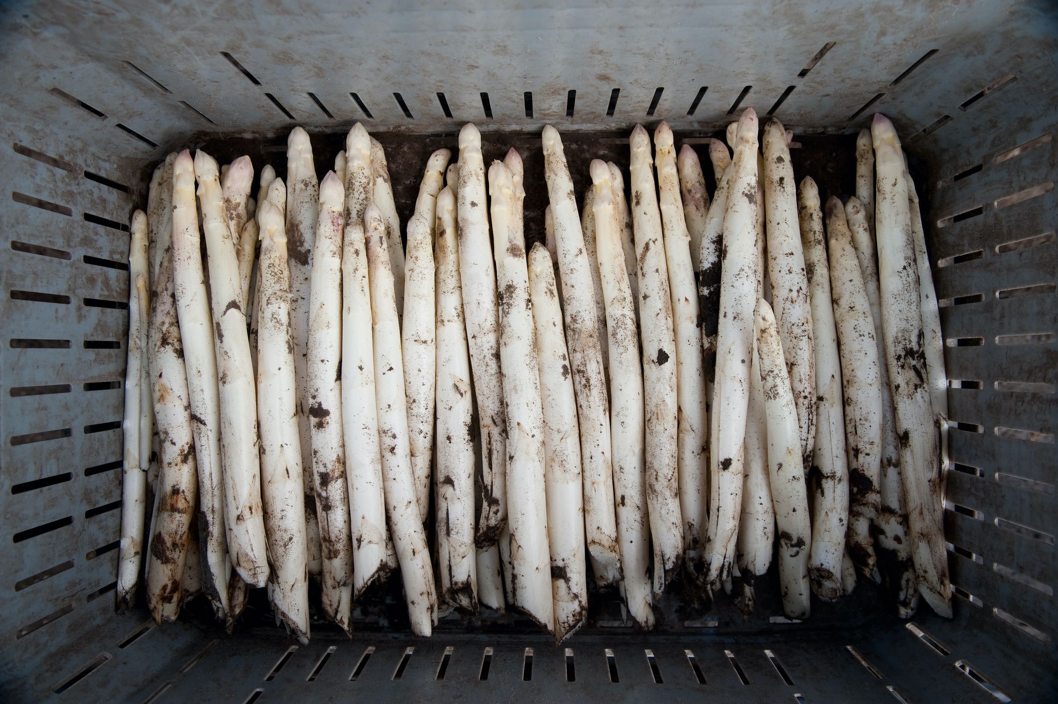 Vin til hvide asparges